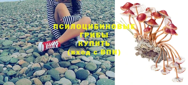 не бодяженный Магадан