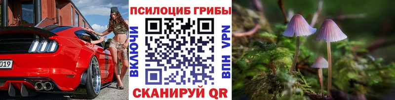 купить цена Хилок Псилоцибиновые грибы Psilocybine cubensis